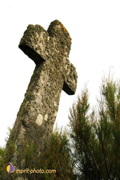 Nom de l'image : E00008743-01 — Description :