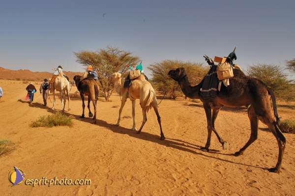 Nom de l'image : D1229008-1 — Description :  Sur les pas de Charles de Foucault - Tamanrasset-Assekrem
