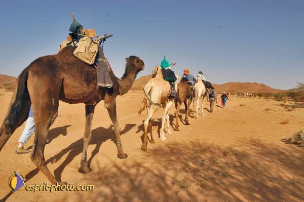 Nom de l'image : D1229014-1 — Description :  Sur les pas de Charles de Foucault - Tamanrasset-Assekrem