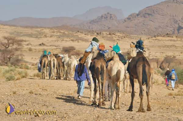Nom de l'image : D1229058-1 — Description :  Sur les pas de Charles de Foucault - Tamanrasset-Assekrem