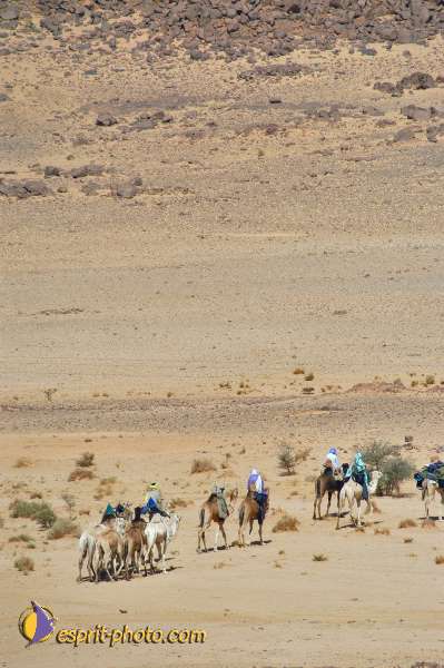 Nom de l'image : D1229132-1 — Description :  Sur les pas de Charles de Foucault - Tamanrasset-Assekrem