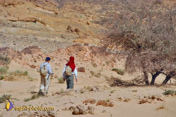 Nom de l'image : D1229144-1 — Description :  Sur les pas de Charles de Foucault - Tamanrasset-Assekrem