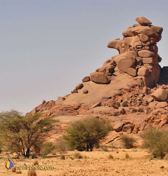 Nom de l'image : D1229209-2 — Description :