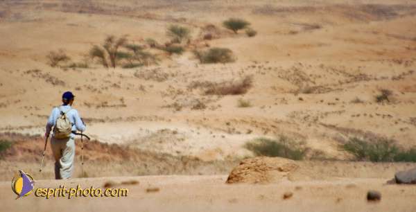 Nom de l'image : D1229271-2 — Description :