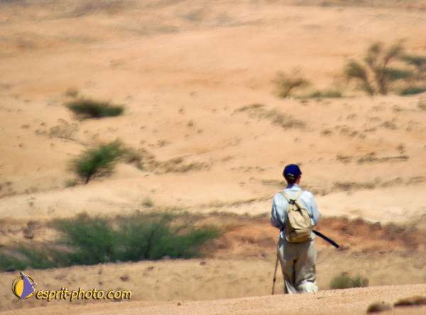 Nom de l'image : D1229274-2 — Description :