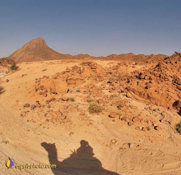 Nom de l'image : D1229646-2 — Description :