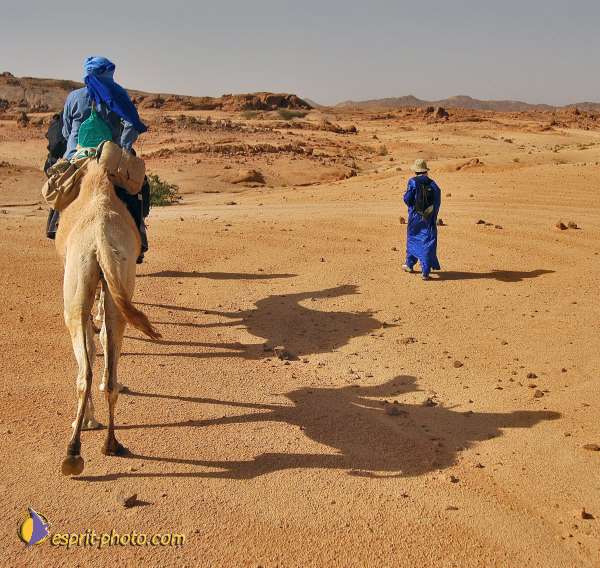 Nom de l'image : D1229658-2 — Description :