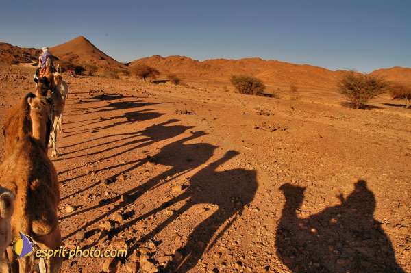 Nom de l'image : D1231372-1 — Description :  Sur les pas de Charles de Foucault - Tamanrasset-Assekrem