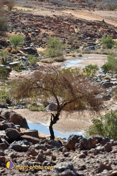 Nom de l'image : D1231912-1 — Description :  Sur les pas de Charles de Foucault - Tamanrasset-Assekrem