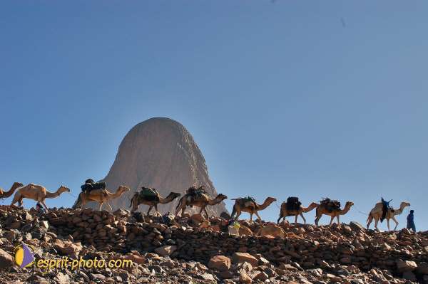 Nom de l'image : D1234034-1 — Description :  Sur les pas de Charles de Foucault - Tamanrasset-Assekrem
