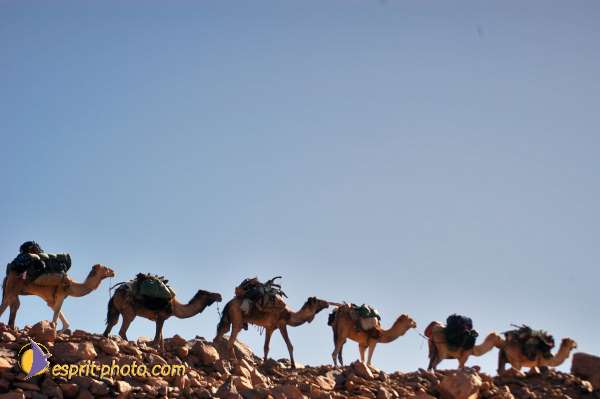 Nom de l'image : D1234043-1 — Description :  Sur les pas de Charles de Foucault - Tamanrasset-Assekrem