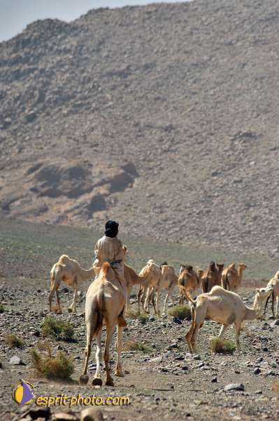 Nom de l'image : D1236586-1 — Description :  Sur les pas de Charles de Foucault - Tamanrasset-Assekrem