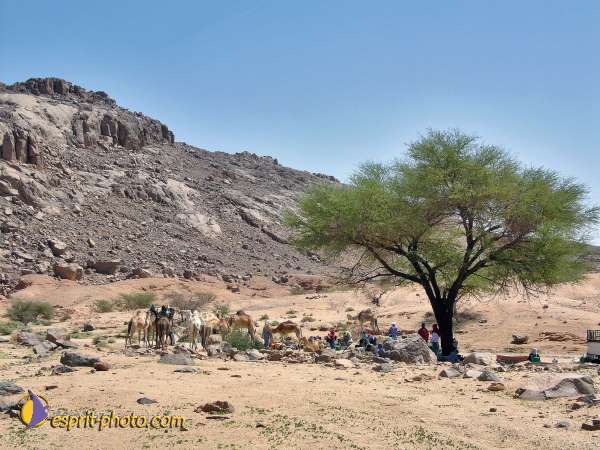 Nom de l'image : l1060380-1 — Description :  Sur les pas de Charles de Foucault - Tamanrasset-Assekrem