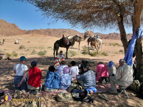 Nom de l'image : l1060518-1 — Description :  Sur les pas de Charles de Foucault - Tamanrasset-Assekrem