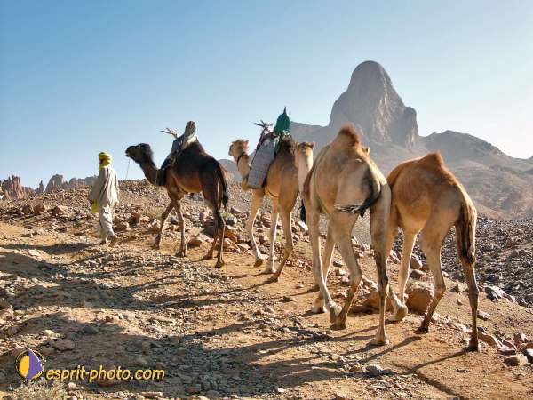 Nom de l'image : l1060563-1 — Description :  Sur les pas de Charles de Foucault - Tamanrasset-Assekrem