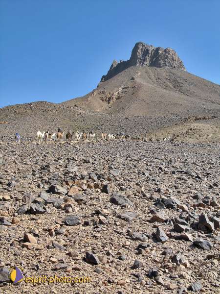 Nom de l'image : l1060731-1 — Description :  Sur les pas de Charles de Foucault - Tamanrasset-Assekrem