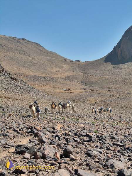 Nom de l'image : l1060746-1 — Description :  Sur les pas de Charles de Foucault - Tamanrasset-Assekrem