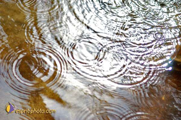 Nom de l'image : D1219534-1 — Description :  Pâques 2005 à Seville (Espagne-Andalusie)