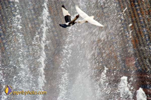 Nom de l'image : D1220489-1 — Description :  Pâques 2005 à Seville (Espagne-Andalusie)
