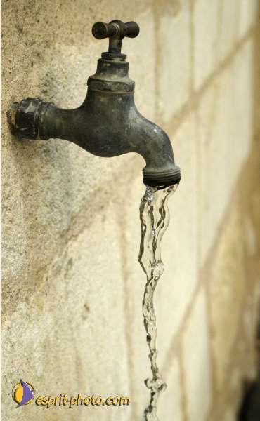 Nom de l'image : Illustration-0221 — Description :