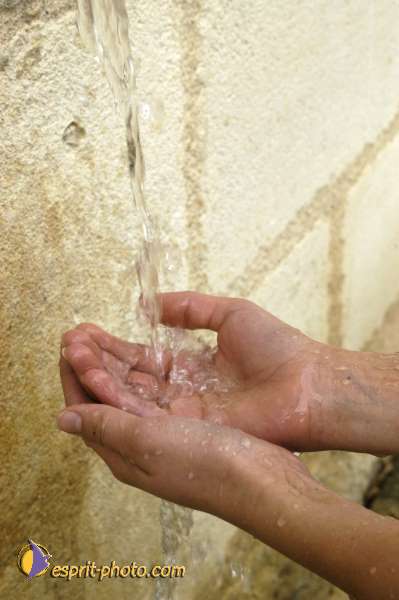 Nom de l'image : Illustration-0223 — Description :