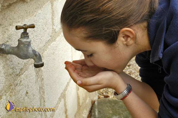 Nom de l'image : Illustration-0224 — Description :