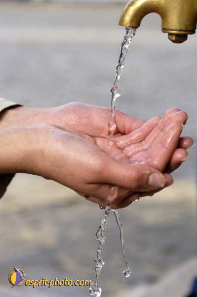 Nom de l'image : Illustration-0236 — Description :