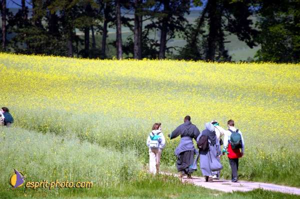 Nom de l'image : D1137400-01 — Description :