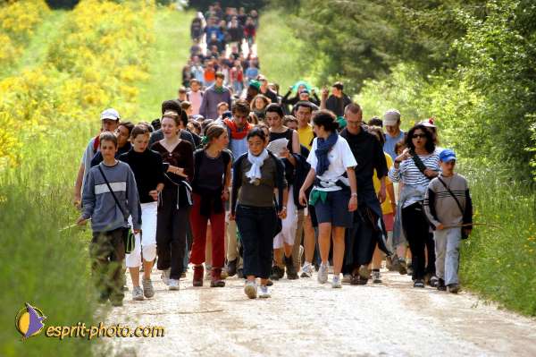 Nom de l'image : D1137474-01 — Description :