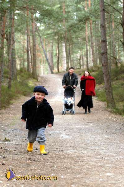 Nom de l'image : D1109478-01 — Description :