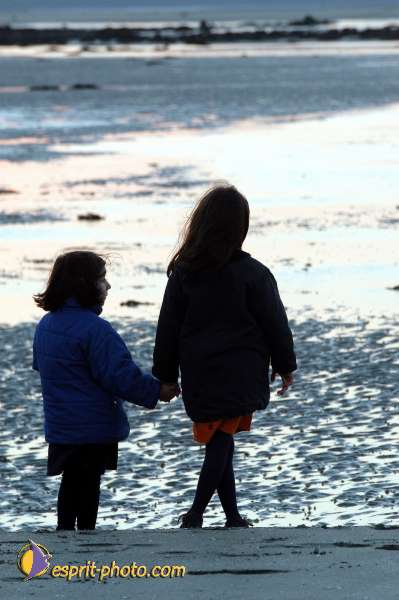 Nom de l'image : D1110181-01 — Description :