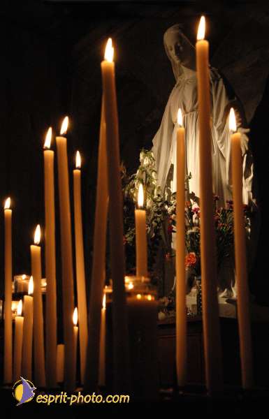 Nom de l'image : DSC_2458 — Description :