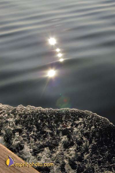 Nom de l'image : E096 — Description :