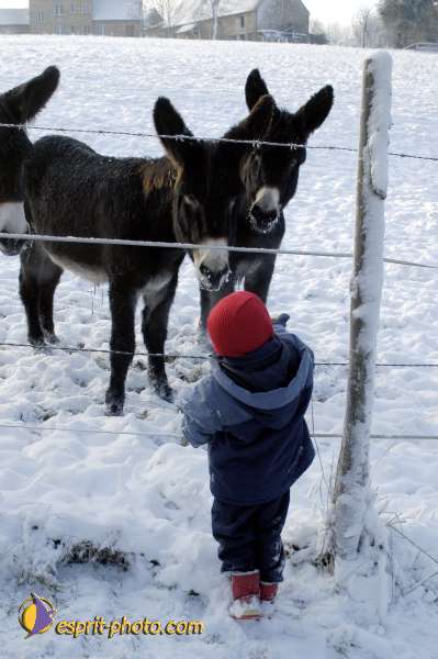 Nom de l'image : Famille-0318 — Description :
