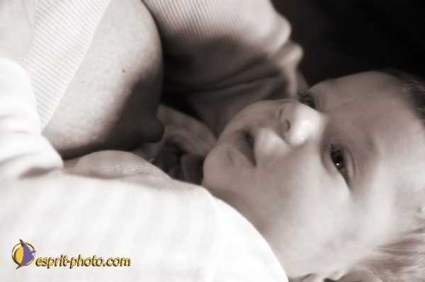 Nom de l'image : D1184263-1sp — Description :