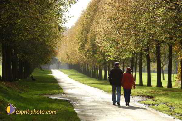 Nom de l'image : D1192436-1 — Description :  Paris - Toussaint 2004