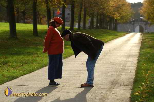 Nom de l'image : D1192533-1 — Description :  Paris - Toussaint 2004