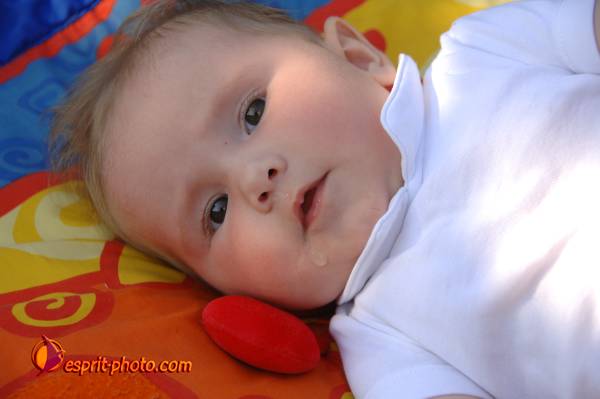 Nom de l'image : Bebe_0-6_Mois_DSC_6319 — Description :