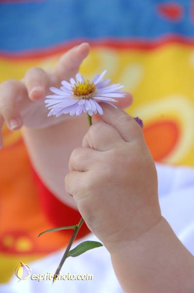 Nom de l'image : Bebe_0-6_Mois_DSC_6344 — Description :