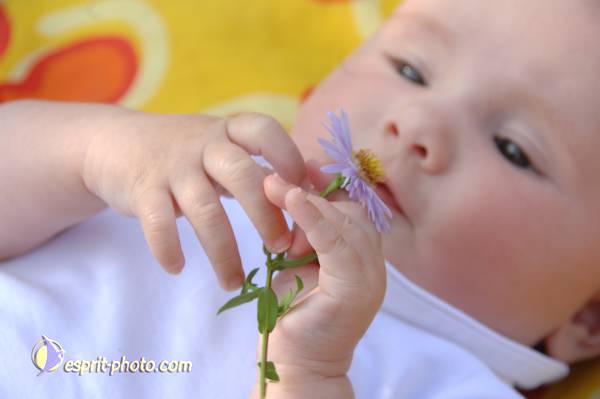 Nom de l'image : Bebe_0-6_Mois_DSC_6349 — Description :