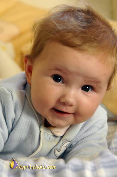 Nom de l'image : Bebe_6_Mois_D2251661_1 — Description :