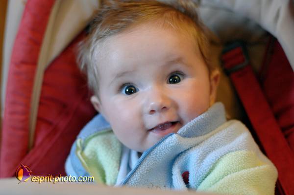 Nom de l'image : Bebe_6_Mois_E2067874_1 — Description :