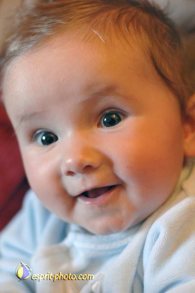 Nom de l'image : Bebe_6_Mois_E2067921_1 — Description :