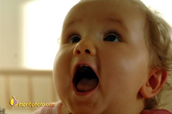 Nom de l'image : Bebe_9_Mois_D2258811_1 — Description :