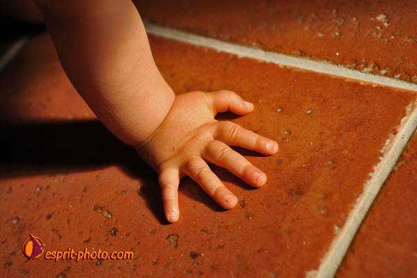 Nom de l'image : Bebe_12_Mois_D30006736_1 — Description :