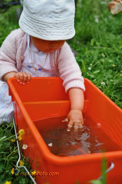 Nom de l'image : Bebe_12_Mois_D30009960_1 — Description :