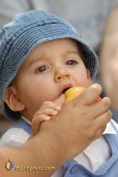 Nom de l'image : Bebe_divers_E00003845-01 — Description :