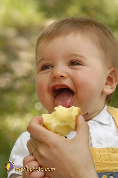 Nom de l'image : Bebe_divers_E00003857-01 — Description :