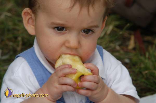 Nom de l'image : Bebe_divers_E00003867-01 — Description :