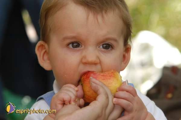 Nom de l'image : Bebe_divers_E00003871-01 — Description :